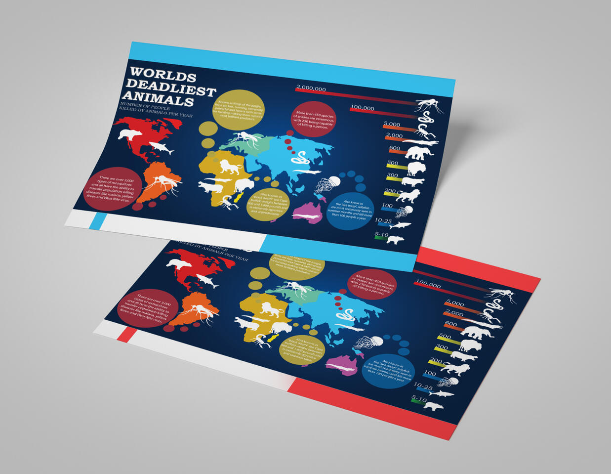 Infographic Design